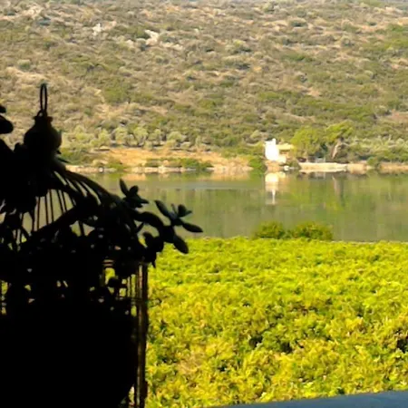 Mailia Lagoon * Вивари