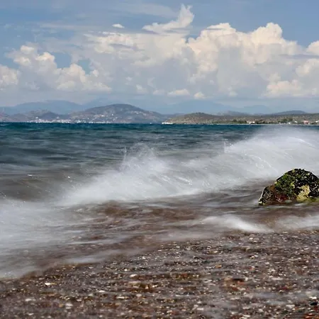 Mailia Lagoon * Βιβάρι